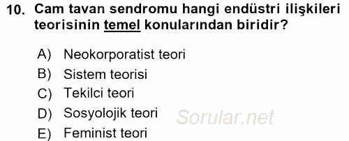 Endüstri İlişkileri 2015 - 2016 Ara Sınavı 10.Soru