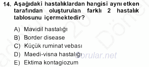 Viroloji 2014 - 2015 Dönem Sonu Sınavı 14.Soru
