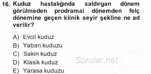 Viroloji 2014 - 2015 Dönem Sonu Sınavı 16.Soru