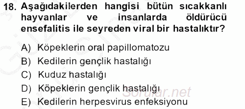 Viroloji 2014 - 2015 Dönem Sonu Sınavı 18.Soru