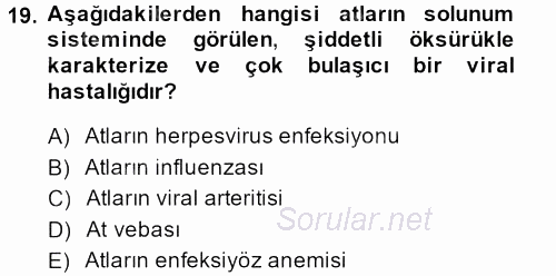 Viroloji 2014 - 2015 Dönem Sonu Sınavı 19.Soru