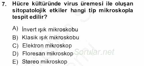 Viroloji 2014 - 2015 Dönem Sonu Sınavı 7.Soru