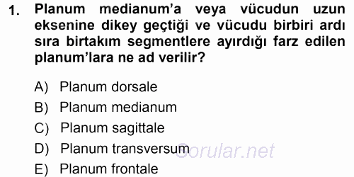 Temel Veteriner Anatomi 2014 - 2015 Tek Ders Sınavı 1.Soru