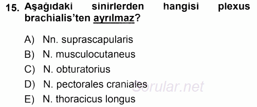 Temel Veteriner Anatomi 2014 - 2015 Tek Ders Sınavı 15.Soru