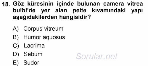 Temel Veteriner Anatomi 2014 - 2015 Tek Ders Sınavı 18.Soru