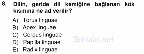 Temel Veteriner Anatomi 2014 - 2015 Tek Ders Sınavı 8.Soru