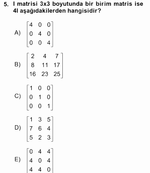 Matematiksel İktisat 2016 - 2017 3 Ders Sınavı 5.Soru