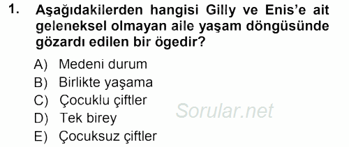 Aile İçi Uyumlu Etkileşim 2012 - 2013 Dönem Sonu Sınavı 1.Soru