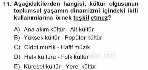 Kültür Sosyolojisi 2013 - 2014 Ara Sınavı 11.Soru