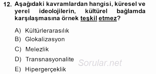 Kültür Sosyolojisi 2013 - 2014 Ara Sınavı 12.Soru