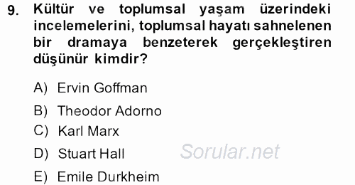Kültür Sosyolojisi 2013 - 2014 Ara Sınavı 9.Soru