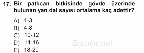 Bahçe Tarımı 2 2012 - 2013 Dönem Sonu Sınavı 17.Soru