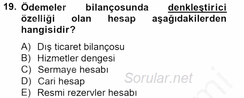 Türkiye Ekonomisi 2012 - 2013 Dönem Sonu Sınavı 19.Soru