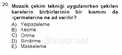 Fotoğrafın Kullanım Alanları 2012 - 2013 Ara Sınavı 20.Soru