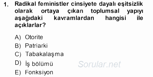 Toplumsal Yaşamda Aile 2013 - 2014 Ara Sınavı 1.Soru