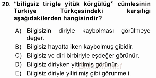 XI-XIII. Yüzyıllar Türk Dili 2017 - 2018 Ara Sınavı 20.Soru