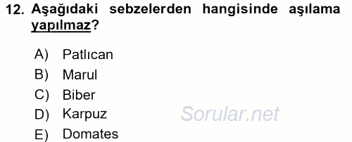 Örtü Altı Üretim Sistemleri 2015 - 2016 Tek Ders Sınavı 12.Soru