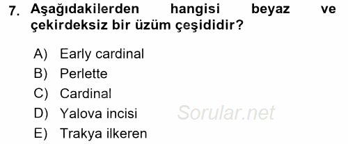 Örtü Altı Üretim Sistemleri 2015 - 2016 Tek Ders Sınavı 7.Soru