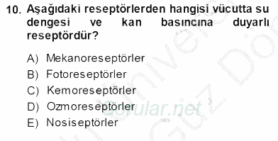 Temel Veteriner Fizyoloji 2013 - 2014 Dönem Sonu Sınavı 10.Soru