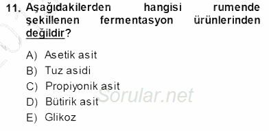 Temel Veteriner Fizyoloji 2013 - 2014 Dönem Sonu Sınavı 11.Soru