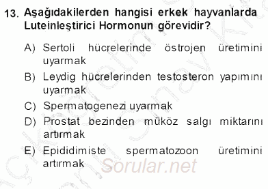 Temel Veteriner Fizyoloji 2013 - 2014 Dönem Sonu Sınavı 13.Soru