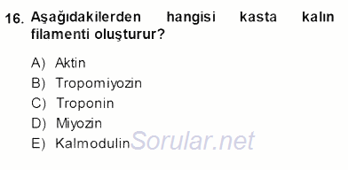 Temel Veteriner Fizyoloji 2013 - 2014 Dönem Sonu Sınavı 16.Soru