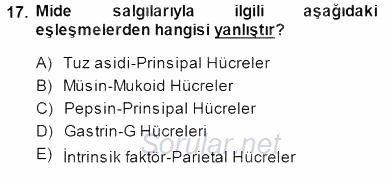 Temel Veteriner Fizyoloji 2013 - 2014 Dönem Sonu Sınavı 17.Soru