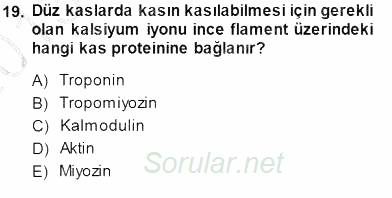 Temel Veteriner Fizyoloji 2013 - 2014 Dönem Sonu Sınavı 19.Soru