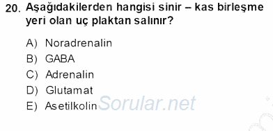 Temel Veteriner Fizyoloji 2013 - 2014 Dönem Sonu Sınavı 20.Soru