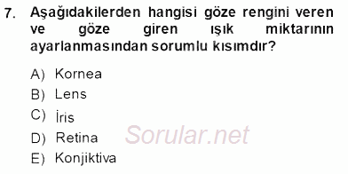 Temel Veteriner Fizyoloji 2013 - 2014 Dönem Sonu Sınavı 7.Soru