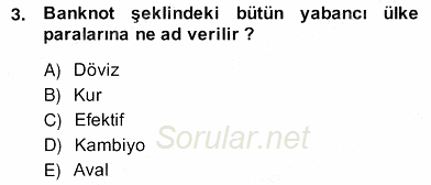 Dış Ticaret İşlemlerinin Muhasebeleştirilmesi 2013 - 2014 Ara Sınavı 3.Soru