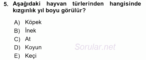 Hayvan Yetiştirme 2016 - 2017 Ara Sınavı 5.Soru