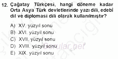 XIV-XV. Yüzyıllar Türk Edebiyatı 2014 - 2015 Ara Sınavı 12.Soru