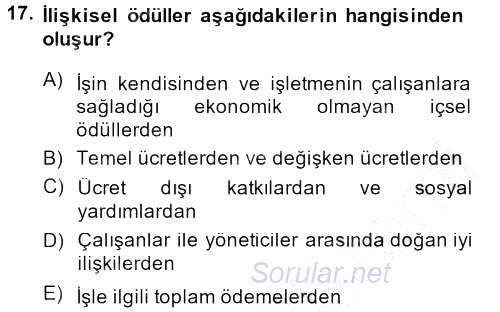 Ücret ve Ödül Yönetimi 2014 - 2015 Dönem Sonu Sınavı 17.Soru