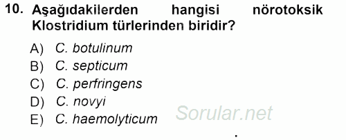 Veteriner Mikrobiyoloji ve Epidemiyoloji 2012 - 2013 Dönem Sonu Sınavı 10.Soru