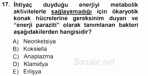 Veteriner Mikrobiyoloji ve Epidemiyoloji 2012 - 2013 Dönem Sonu Sınavı 17.Soru