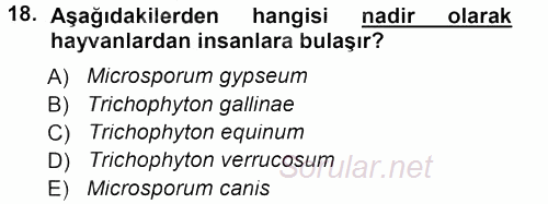 Veteriner Mikrobiyoloji ve Epidemiyoloji 2012 - 2013 Dönem Sonu Sınavı 18.Soru