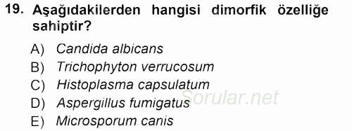 Veteriner Mikrobiyoloji ve Epidemiyoloji 2012 - 2013 Dönem Sonu Sınavı 19.Soru