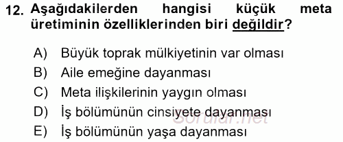 Kent Sosyolojisi 2015 - 2016 Tek Ders Sınavı 12.Soru