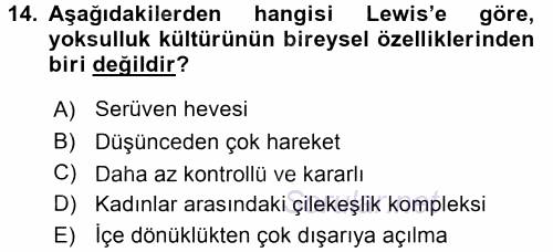 Kent Sosyolojisi 2015 - 2016 Tek Ders Sınavı 14.Soru