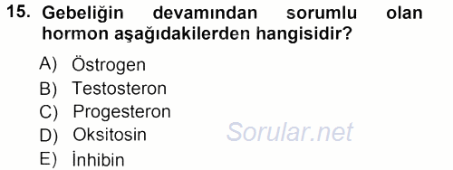 Hayvan Yetiştirme 2012 - 2013 Ara Sınavı 15.Soru