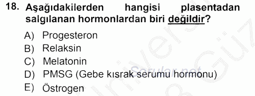 Hayvan Yetiştirme 2012 - 2013 Ara Sınavı 18.Soru