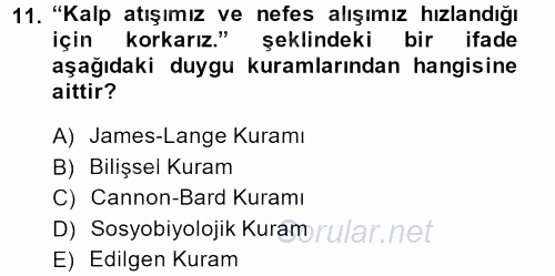 İş ve Yaşamda Motivasyon 2014 - 2015 Ara Sınavı 11.Soru