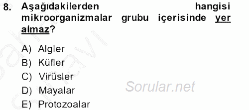 Gıda Bilimi ve Teknolojisi 2013 - 2014 Ara Sınavı 8.Soru