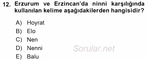 Türk Halk Şiiri 2015 - 2016 Ara Sınavı 12.Soru