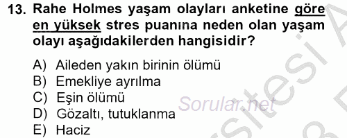 Çatışma ve Stres Yönetimi 2 2012 - 2013 Ara Sınavı 13.Soru
