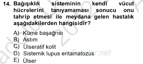 Çatışma ve Stres Yönetimi 2 2012 - 2013 Ara Sınavı 14.Soru