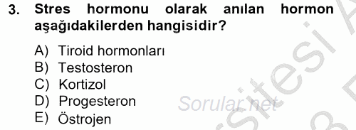 Çatışma ve Stres Yönetimi 2 2012 - 2013 Ara Sınavı 3.Soru