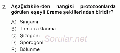 Temel Veteriner Parazitoloji 2013 - 2014 Dönem Sonu Sınavı 2.Soru