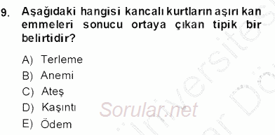 Temel Veteriner Parazitoloji 2013 - 2014 Dönem Sonu Sınavı 9.Soru